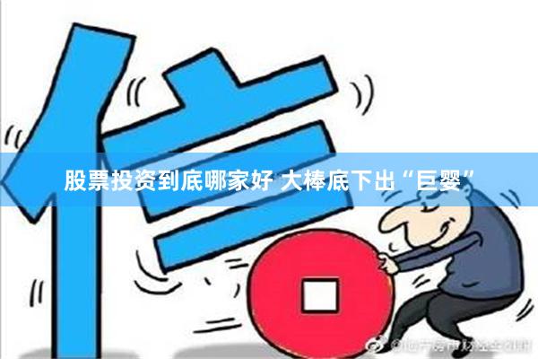 股票投资到底哪家好 大棒底下出“巨婴”