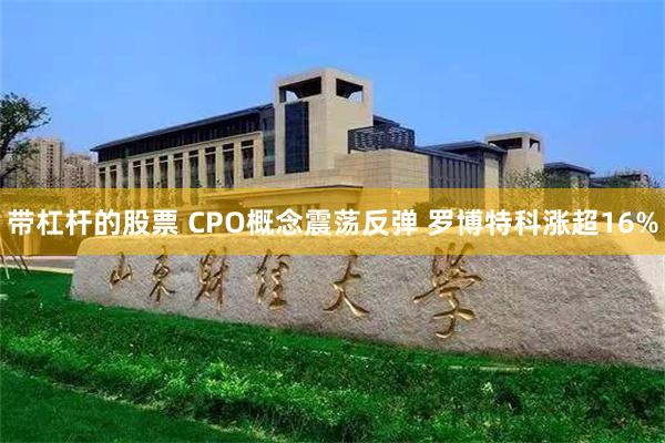 带杠杆的股票 CPO概念震荡反弹 罗博特科涨超16%