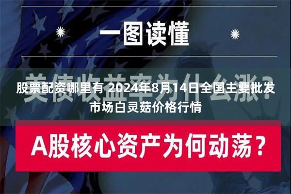 股票配资哪里有 2024年8月14日全国主要批发市场白灵菇价格行情