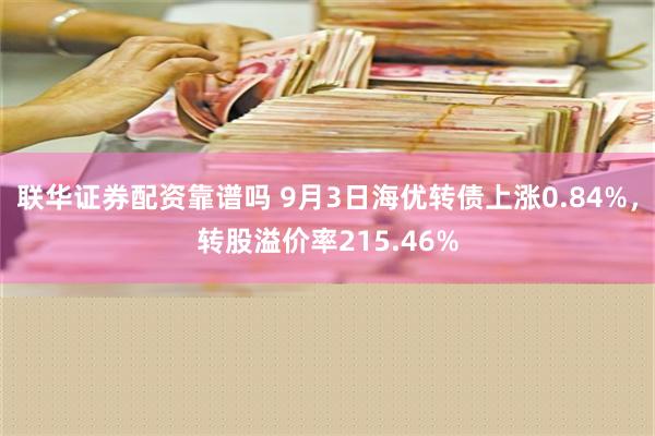 联华证券配资靠谱吗 9月3日海优转债上涨0.84%，转股溢价率215.46%