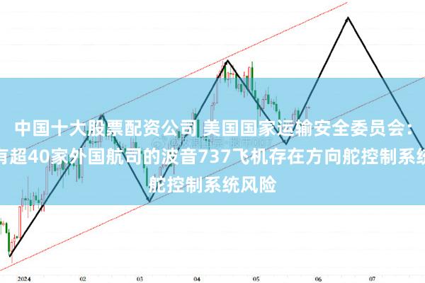 中国十大股票配资公司 美国国家运输安全委员会：可能有超40家外国航司的波音737飞机存在方向舵控制系统风险