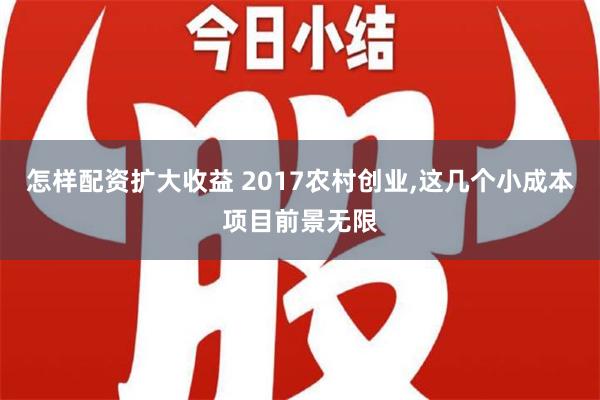 怎样配资扩大收益 2017农村创业,这几个小成本项目前景无限