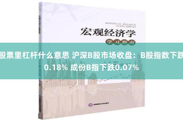 股票里杠杆什么意思 沪深B股市场收盘：B股指数下跌0.18% 成份B指下跌0.07%