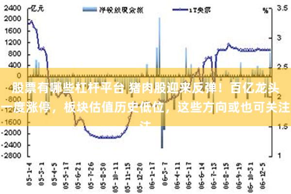 股票有哪些杠杆平台 猪肉股迎来反弹！百亿龙头一度涨停，板块估值历史低位，这些方向或也可关注